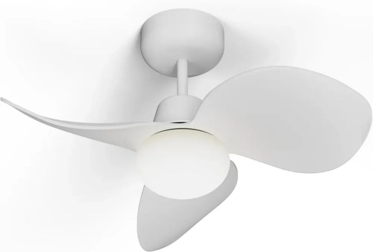 Ventilateur de Plafond Silencieux avec LED Régulable, Moteur Puissant à 6 Vitesses et Fonction Été/Hiver