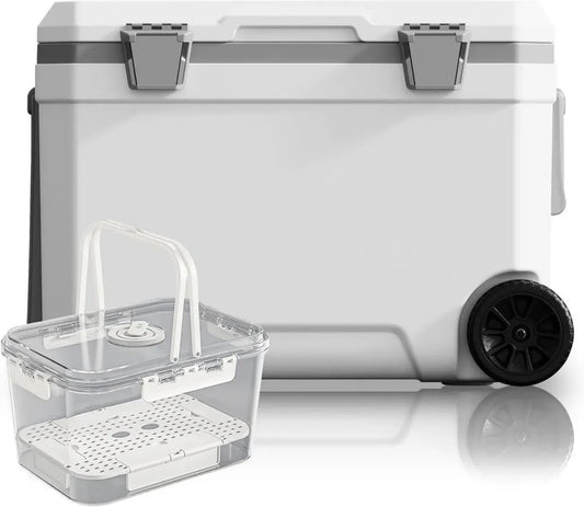 Glacière Isotherme 45L avec Roulettes - Fermetures Métalliques - Jusqu'à 96 Heures de Conservation - Idéale pour Camping et Pique-Nique